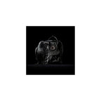 Mochila Fjällräven Kånken No. 2 Negra